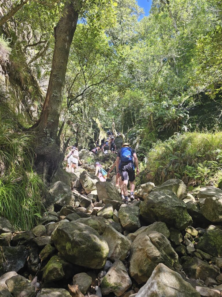 Skeleton Gorge hike from Kirstenbosch